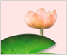 ���� ����